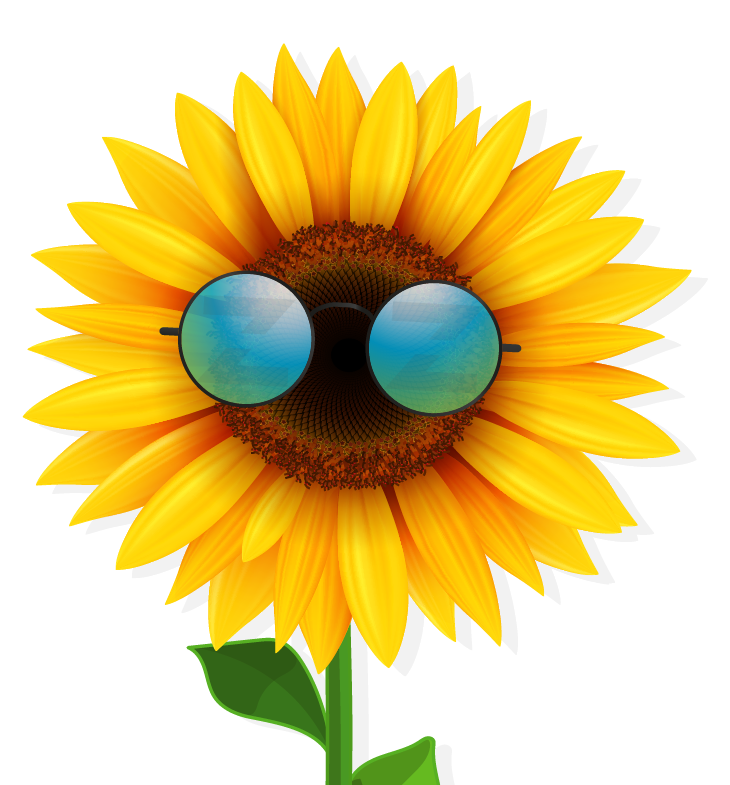 See you Zoon - Sunflower See you Zoon - Sunflower