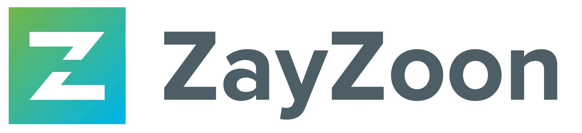 ZayZoon Logo