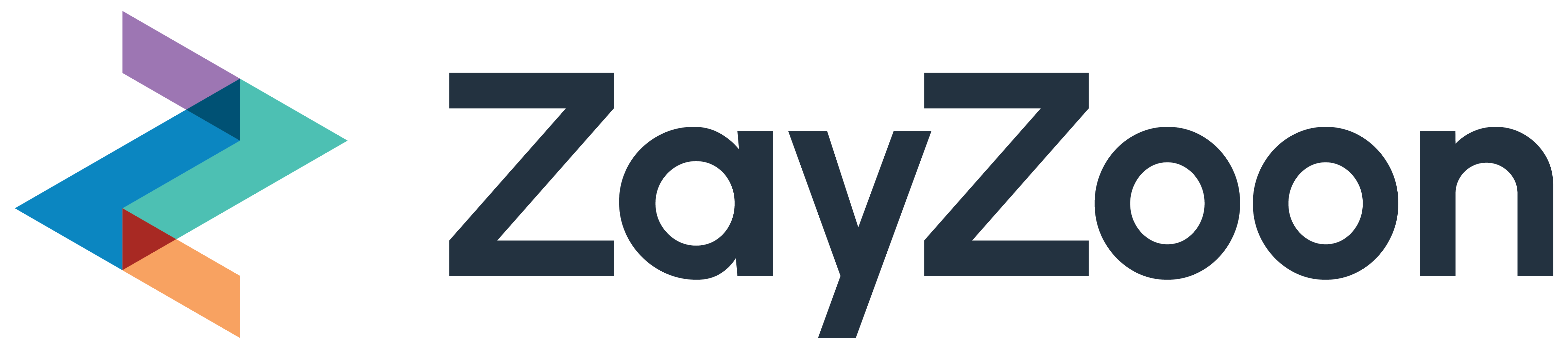 ZayZoon Logo